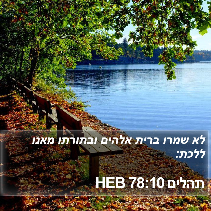 תהלים 78:10 HEB Bible Study