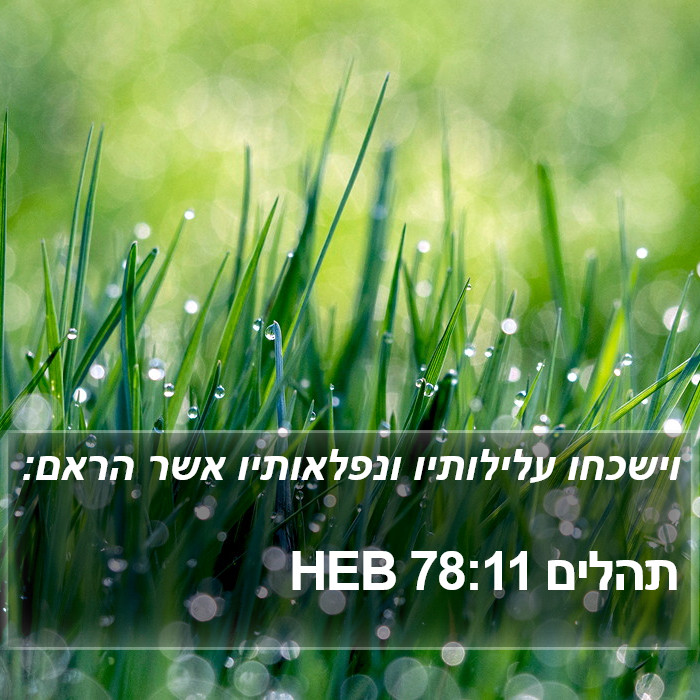 תהלים 78:11 HEB Bible Study