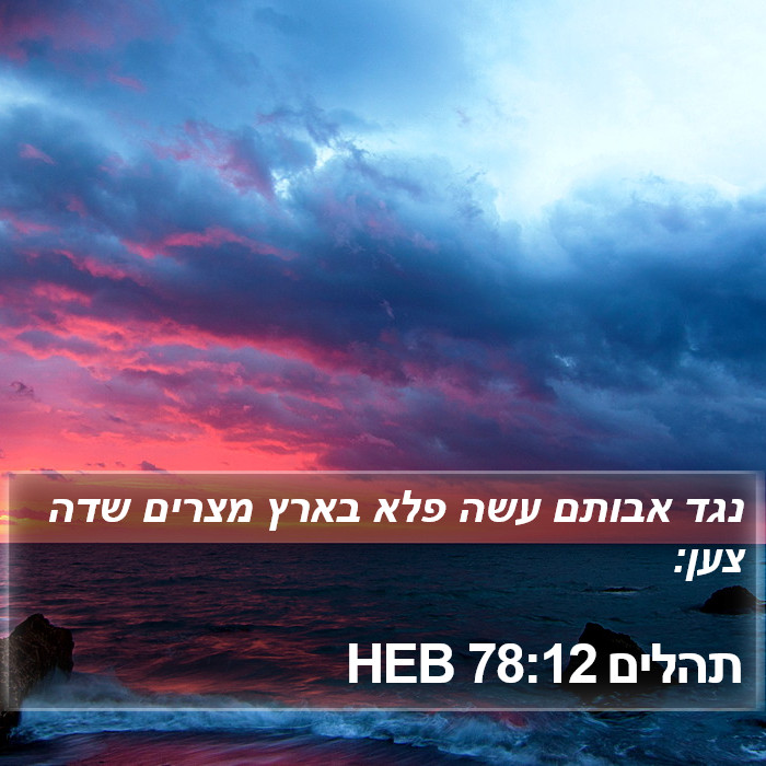 תהלים 78:12 HEB Bible Study