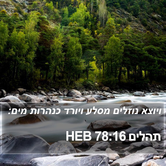 תהלים 78:16 HEB Bible Study