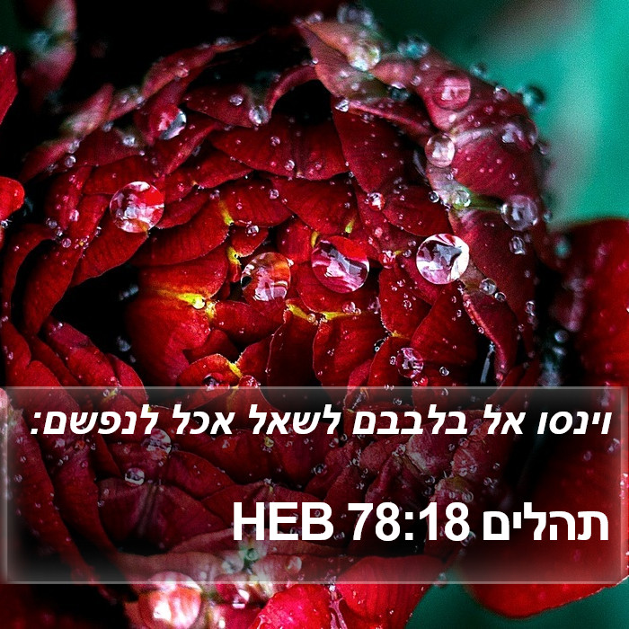 תהלים 78:18 HEB Bible Study