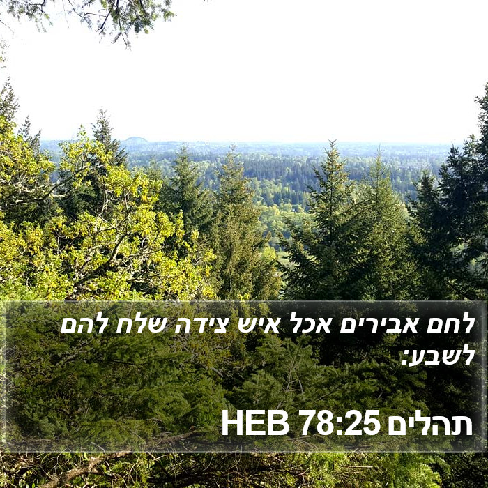 תהלים 78:25 HEB Bible Study