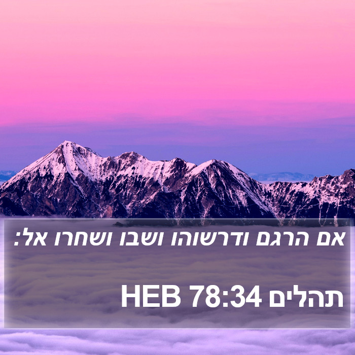 תהלים 78:34 HEB Bible Study