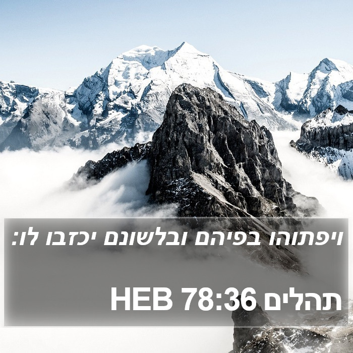 תהלים 78:36 HEB Bible Study