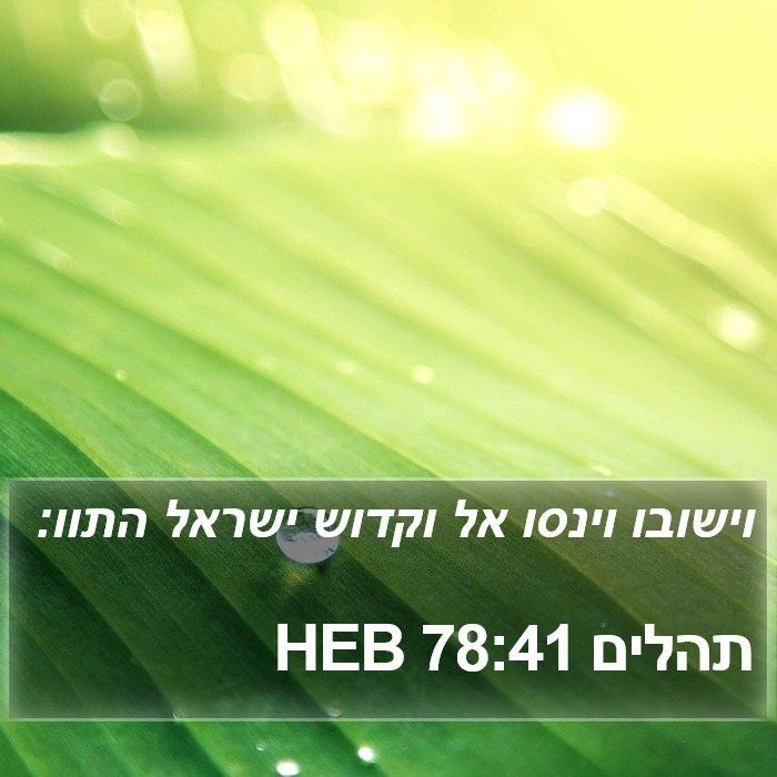 תהלים 78:41 HEB Bible Study