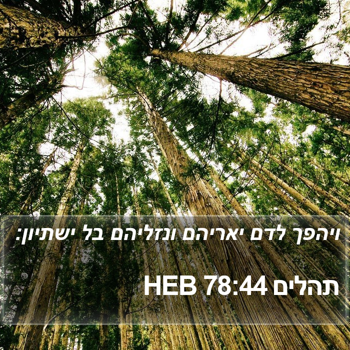 תהלים 78:44 HEB Bible Study