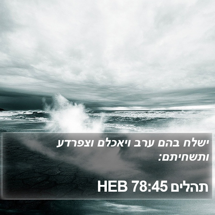 תהלים 78:45 HEB Bible Study