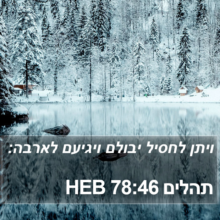 תהלים 78:46 HEB Bible Study