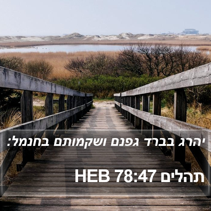 תהלים 78:47 HEB Bible Study