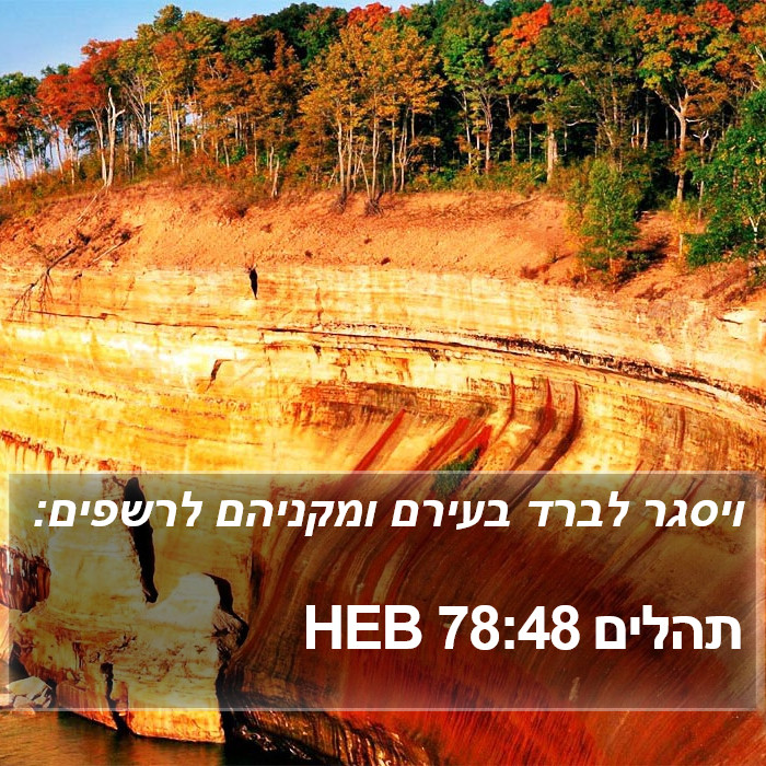 תהלים 78:48 HEB Bible Study