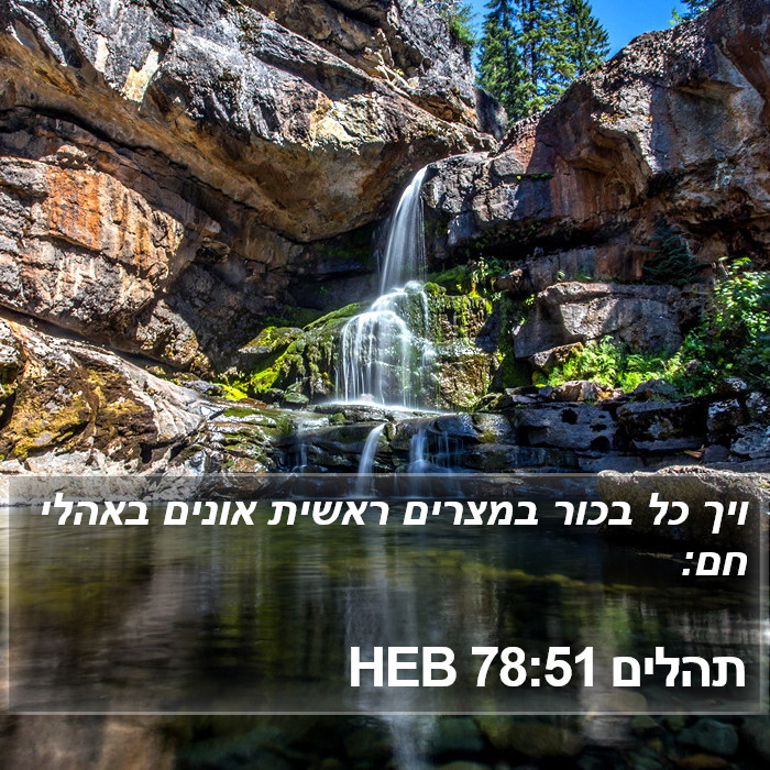 תהלים 78:51 HEB Bible Study