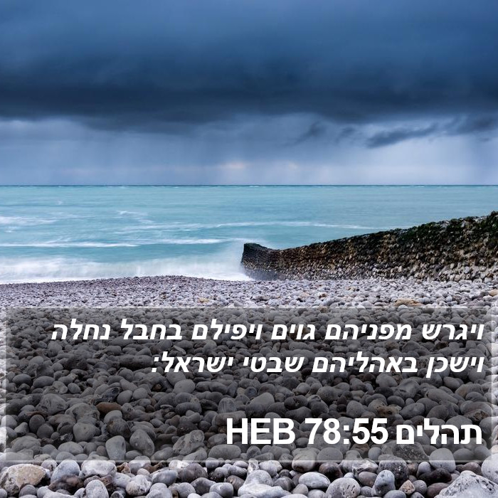 תהלים 78:55 HEB Bible Study