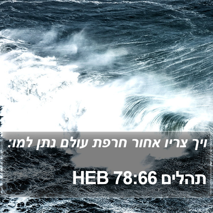 תהלים 78:66 HEB Bible Study