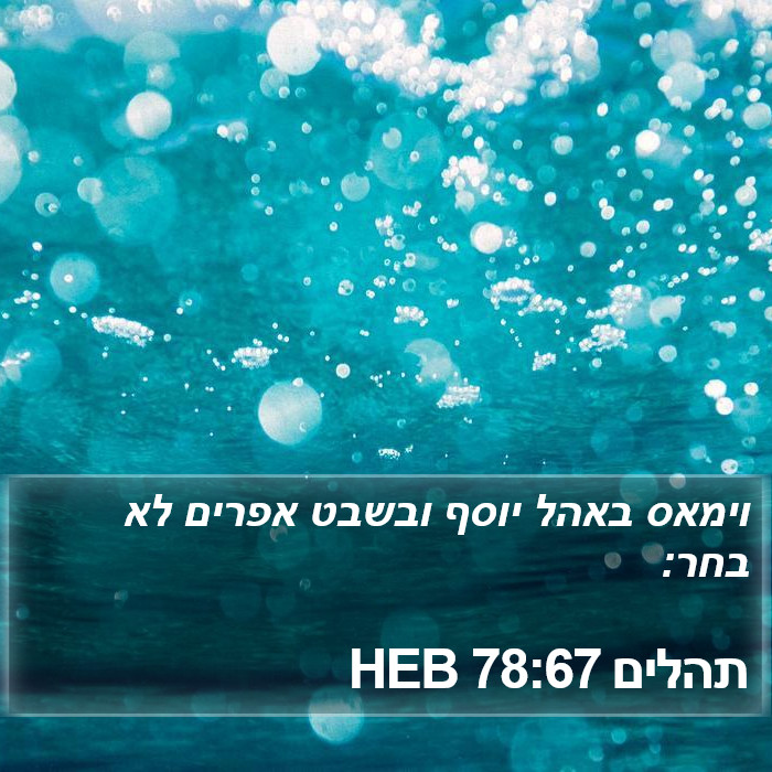 תהלים 78:67 HEB Bible Study