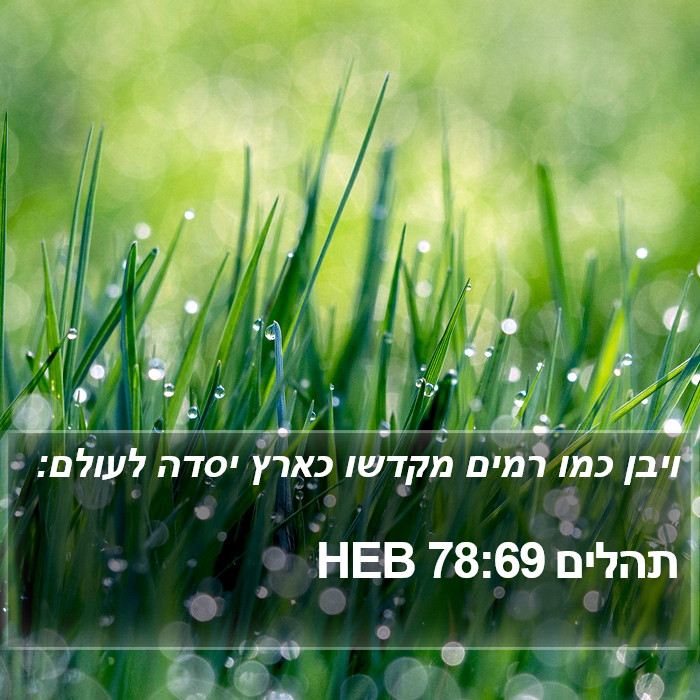 תהלים 78:69 HEB Bible Study