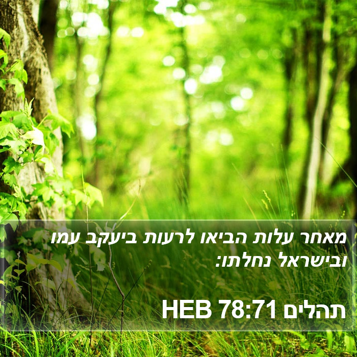 תהלים 78:71 HEB Bible Study