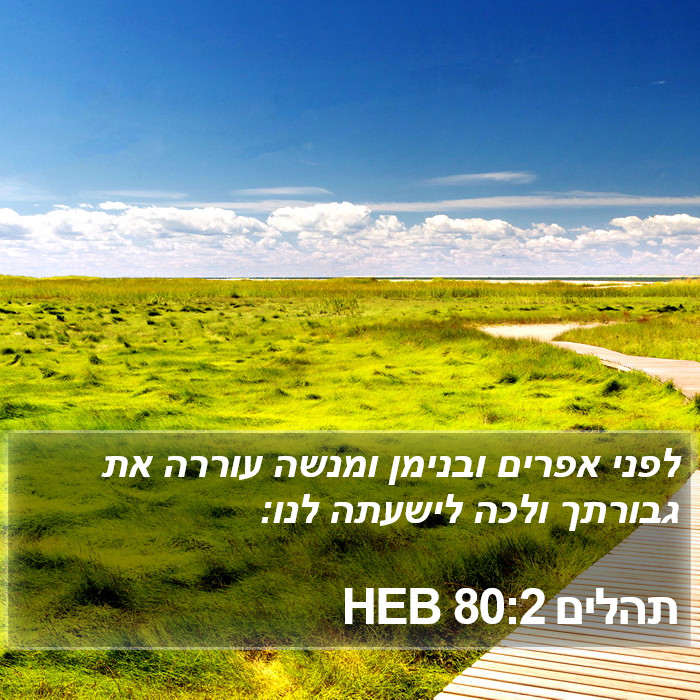 תהלים 80:2 HEB Bible Study