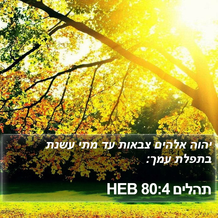 תהלים 80:4 HEB Bible Study