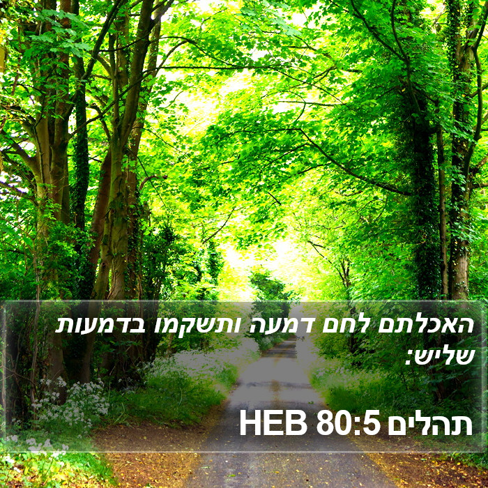 תהלים 80:5 HEB Bible Study