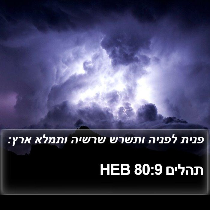 תהלים 80:9 HEB Bible Study