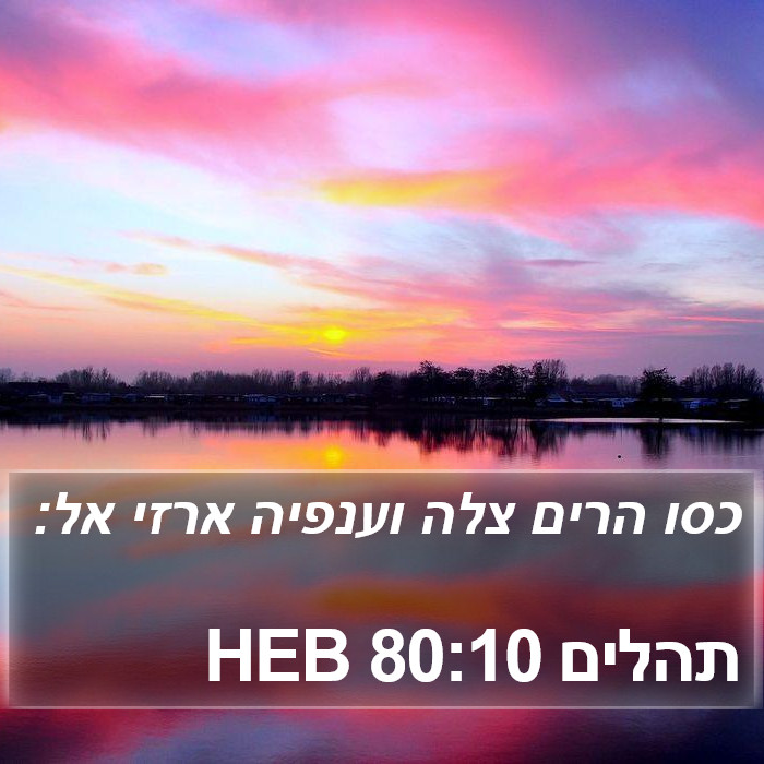 תהלים 80:10 HEB Bible Study