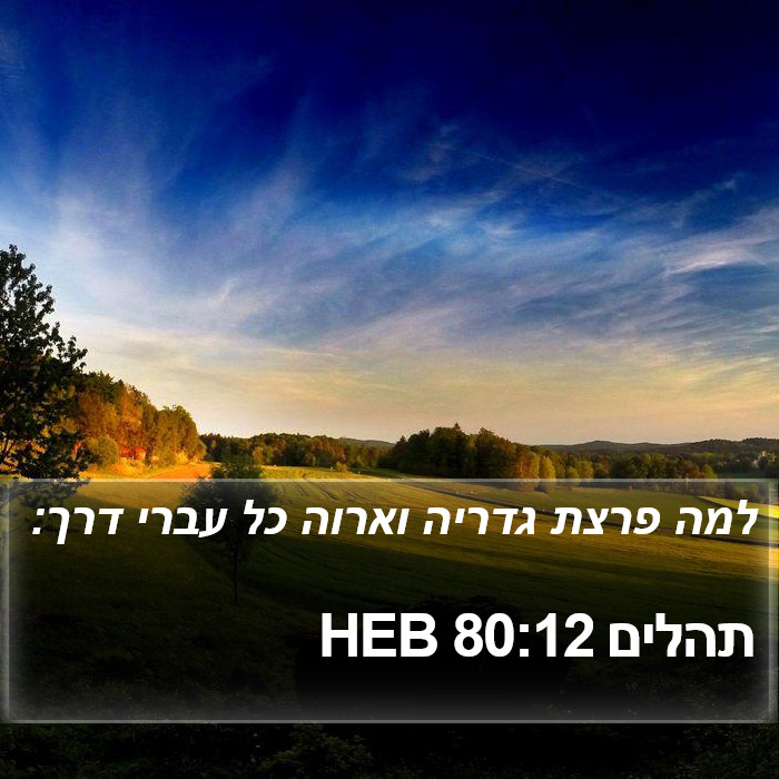 תהלים 80:12 HEB Bible Study