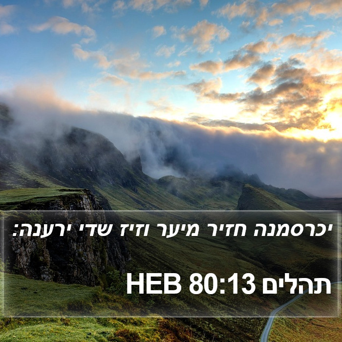 תהלים 80:13 HEB Bible Study