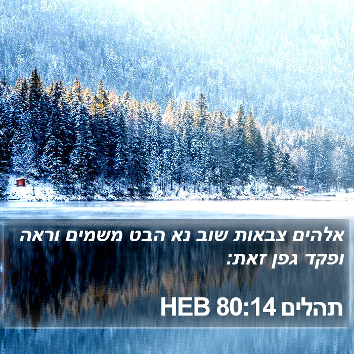 תהלים 80:14 HEB Bible Study