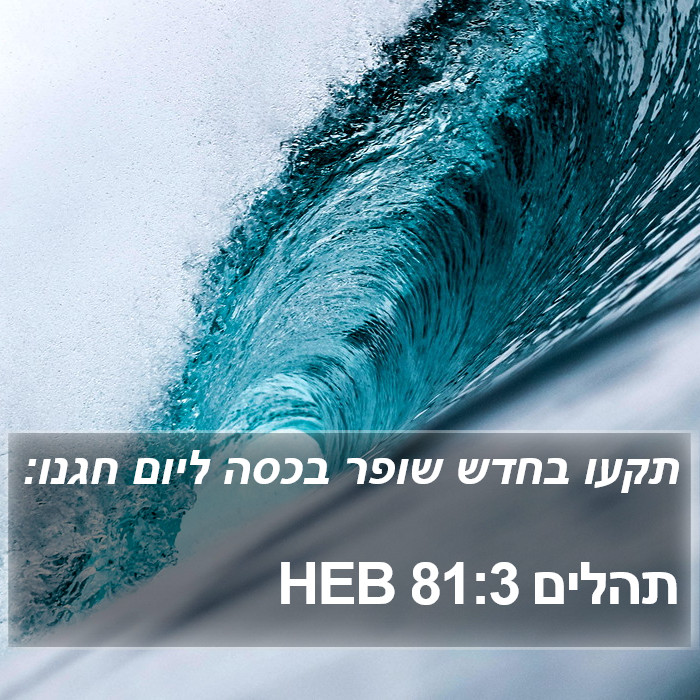 תהלים 81:3 HEB Bible Study