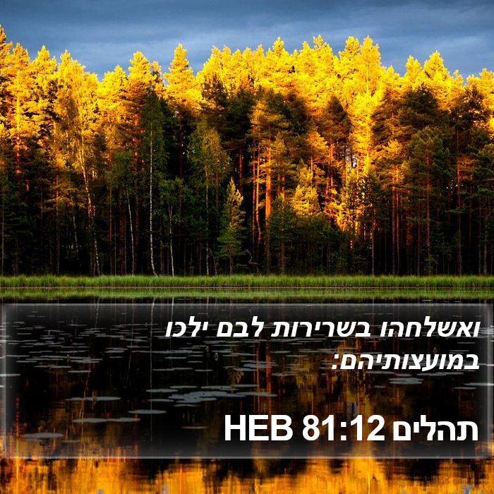 תהלים 81:12 HEB Bible Study