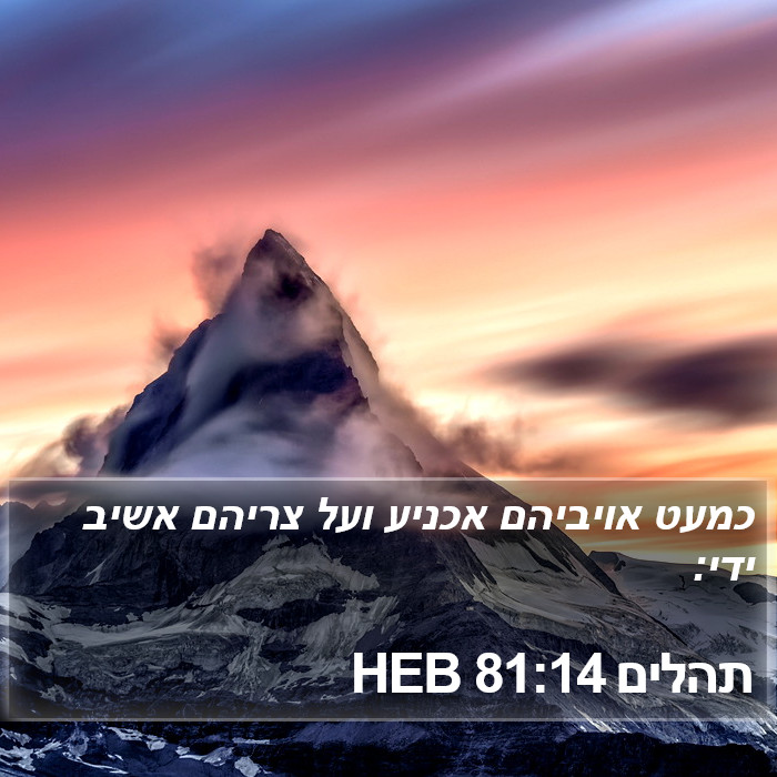 תהלים 81:14 HEB Bible Study