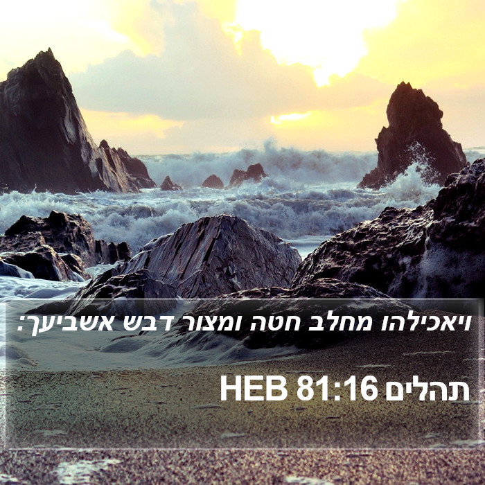 תהלים 81:16 HEB Bible Study