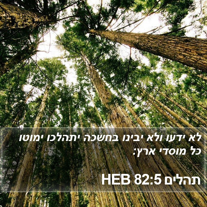 תהלים 82:5 HEB Bible Study