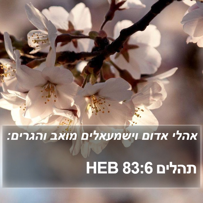 תהלים 83:6 HEB Bible Study