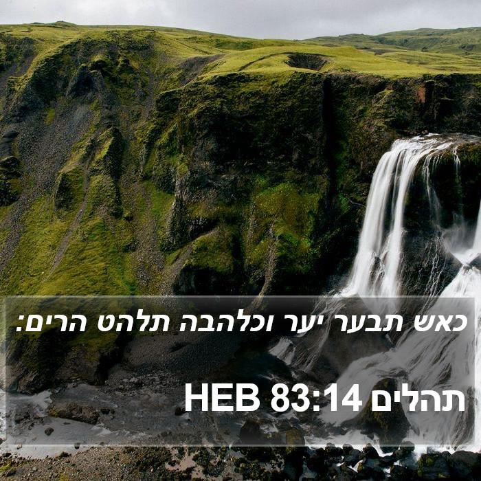 תהלים 83:14 HEB Bible Study