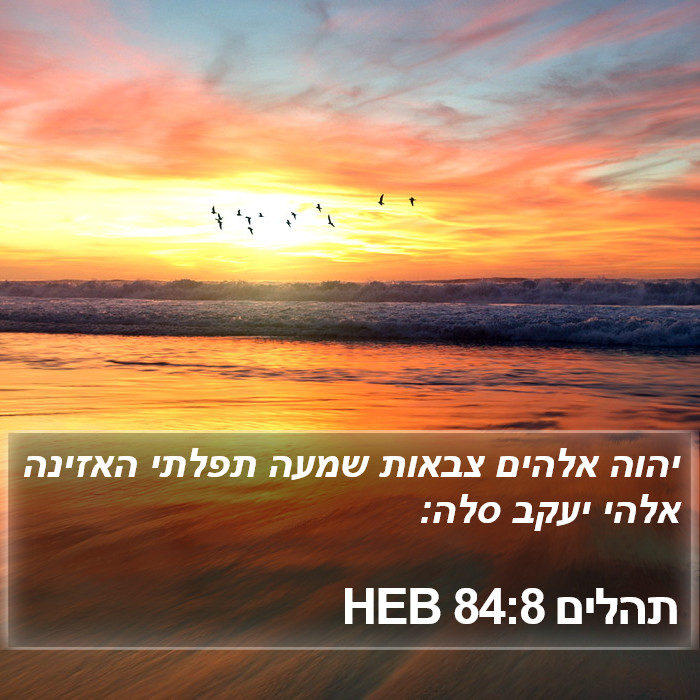 תהלים 84:8 HEB Bible Study