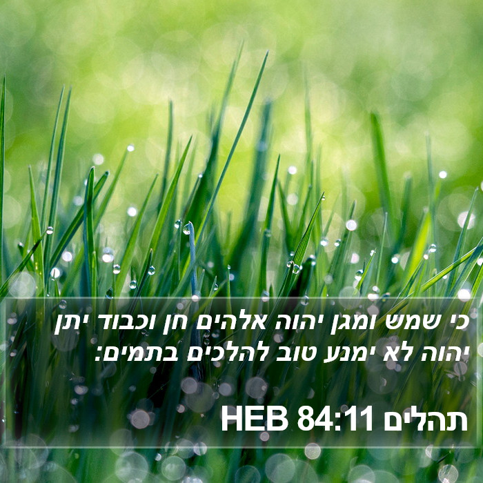 תהלים 84:11 HEB Bible Study