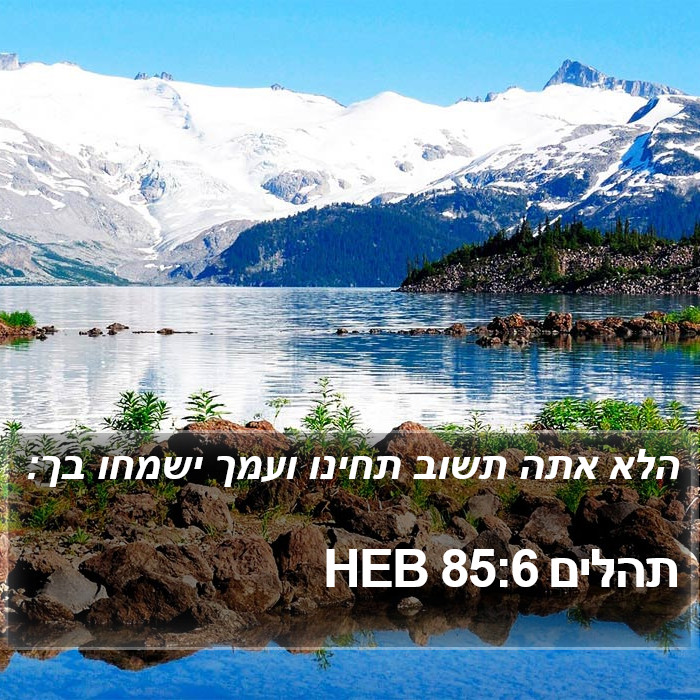 תהלים 85:6 HEB Bible Study