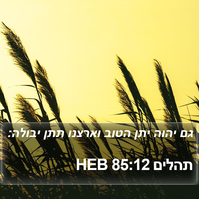 תהלים 85:12 HEB Bible Study