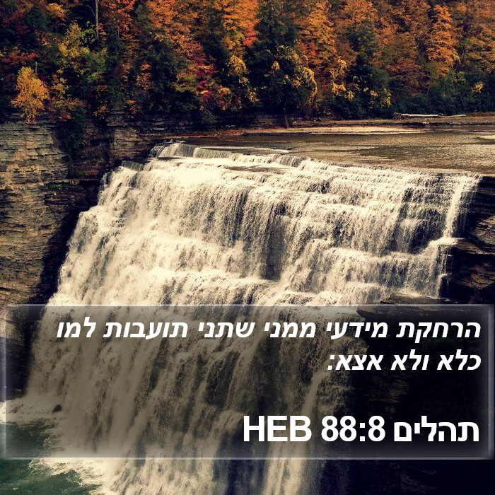 תהלים 88:8 HEB Bible Study