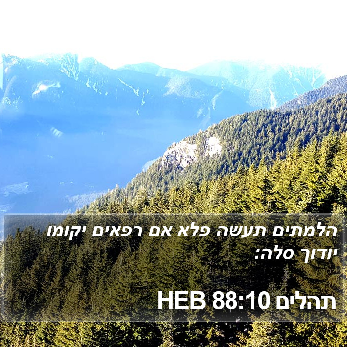 תהלים 88:10 HEB Bible Study