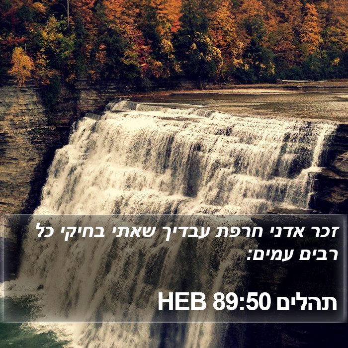 תהלים 89:50 HEB Bible Study