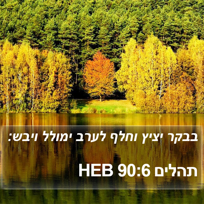 תהלים 90:6 HEB Bible Study