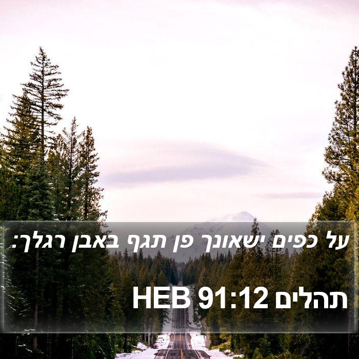 תהלים 91:12 HEB Bible Study