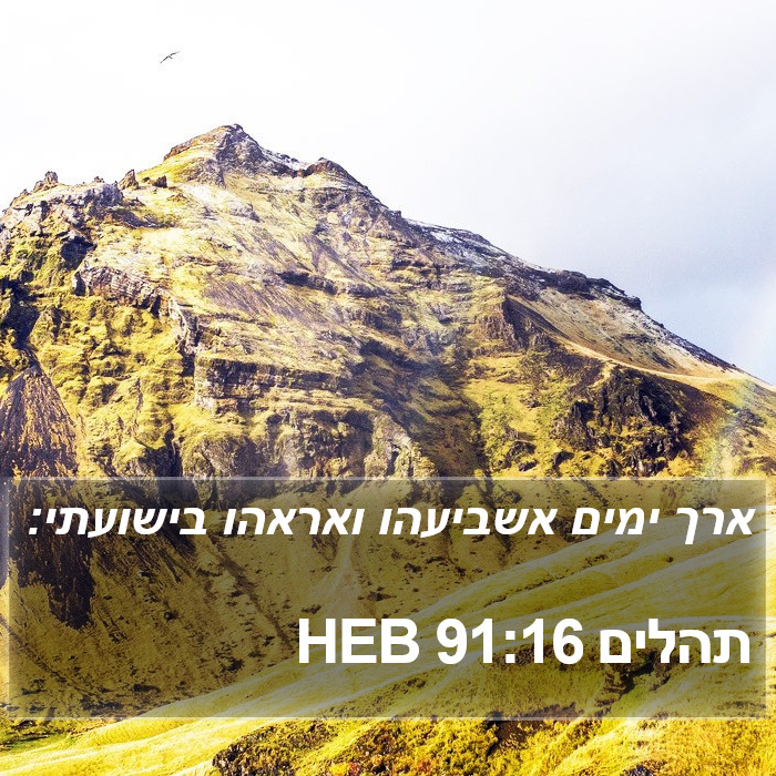 תהלים 91:16 HEB Bible Study