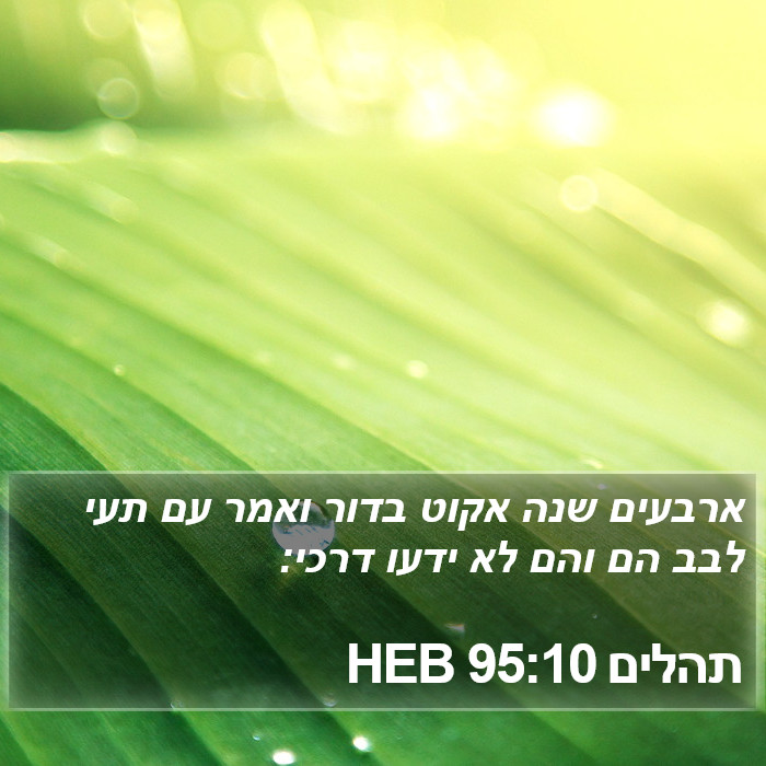 תהלים 95:10 HEB Bible Study