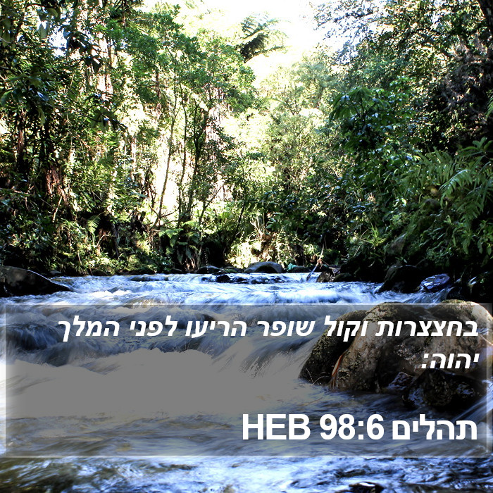 תהלים 98:6 HEB Bible Study