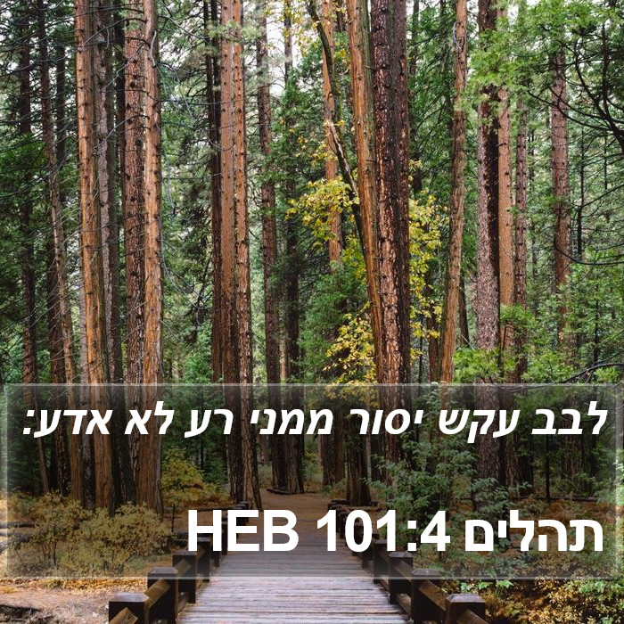 תהלים 101:4 HEB Bible Study