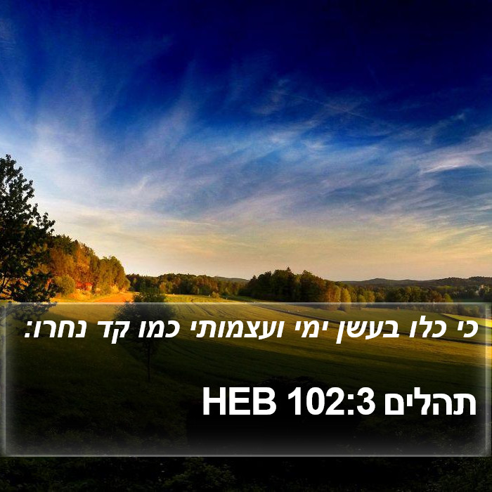 תהלים 102:3 HEB Bible Study