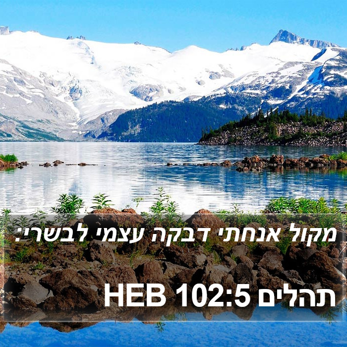 תהלים 102:5 HEB Bible Study